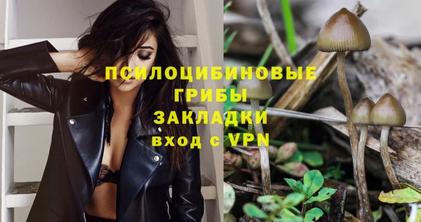 таблы Алексин
