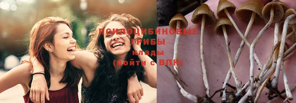 таблы Алексин