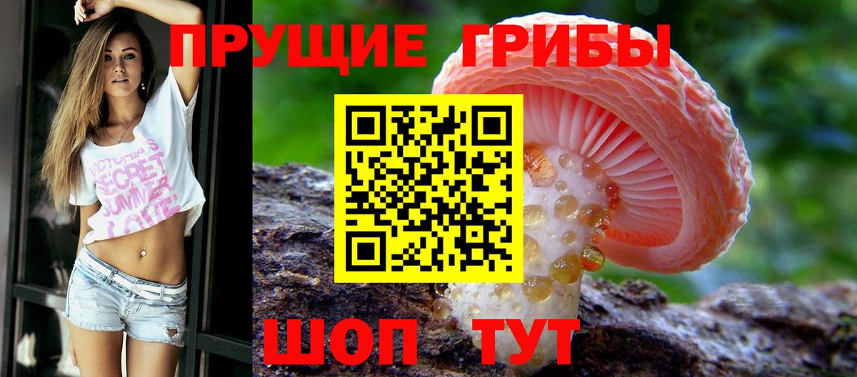 Псилоцибиновые грибы Psilocybine cubensis  Вход с VPN  Саранск 